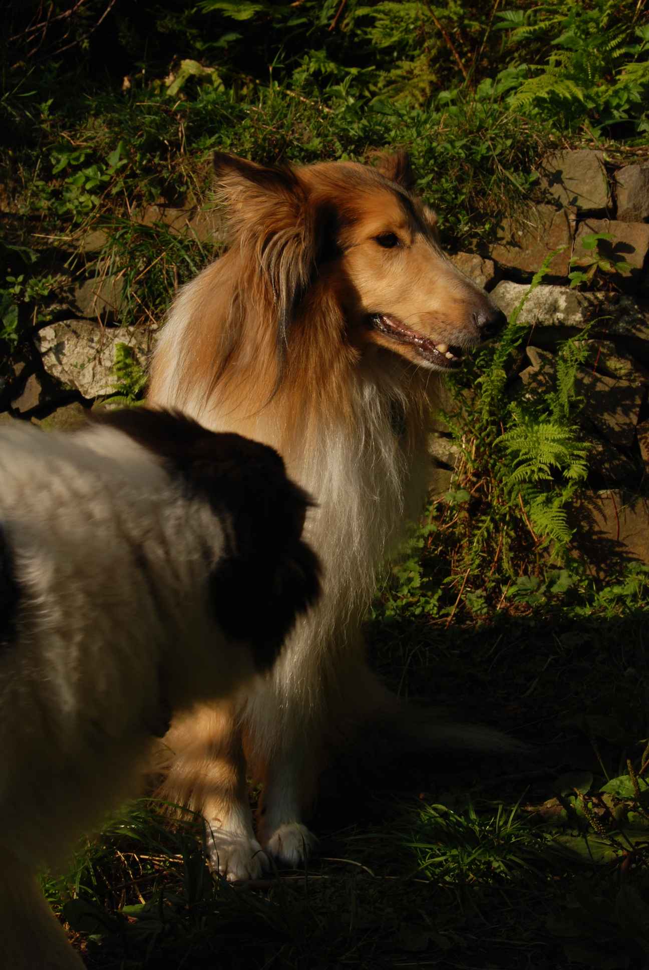2009-08-14_ntb_4214