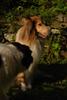 2009-08-14_ntb_4214