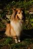 2009-08-14_ntb_4216