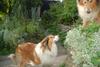2009-08-14_ntb_4217