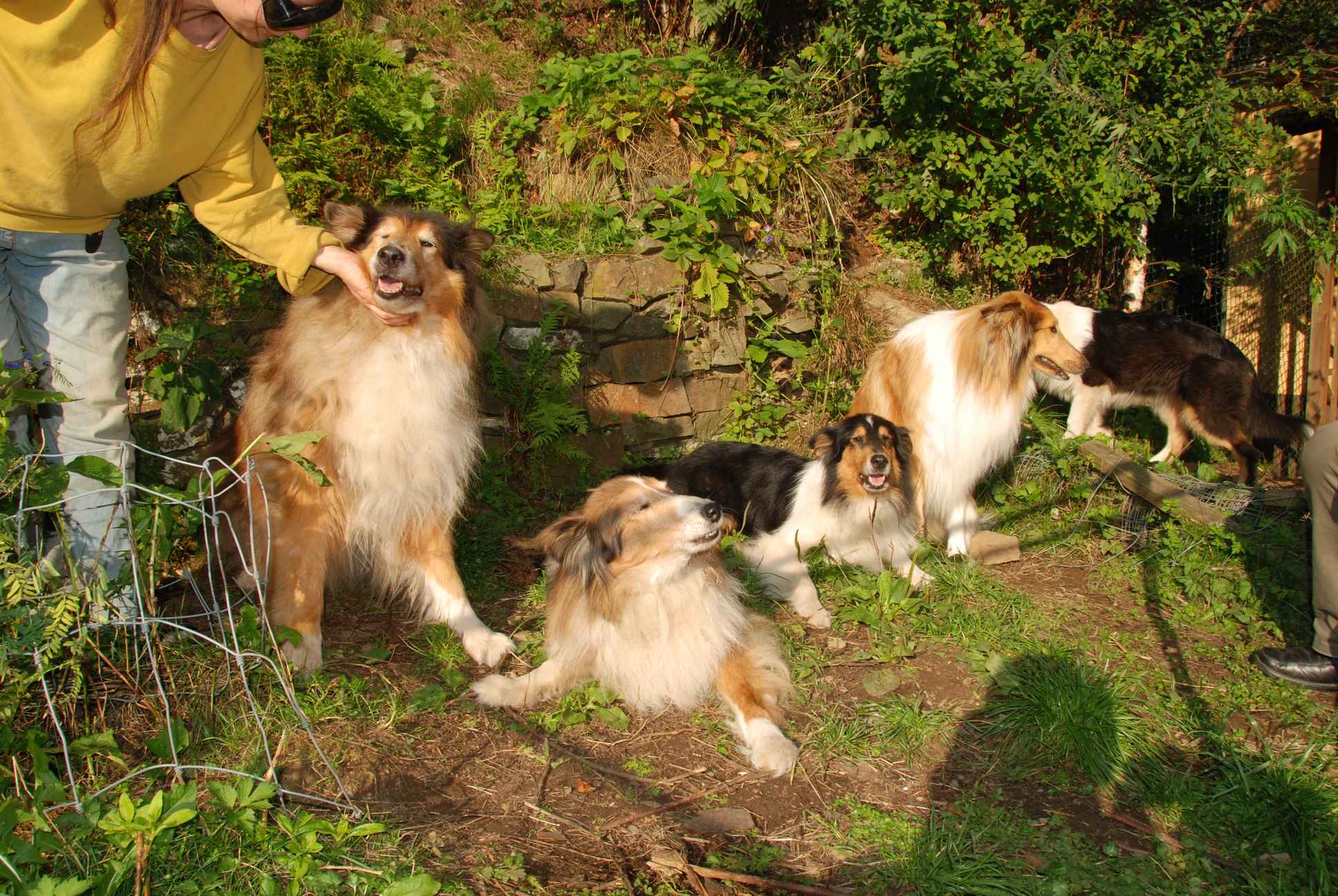 2009-08-14_ntb_4218