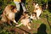 2009-08-14_ntb_4219