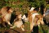 2009-08-14_ntb_4220
