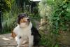 2009-08-14_ntb_4221