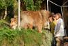 2009-08-14_ntb_4222
