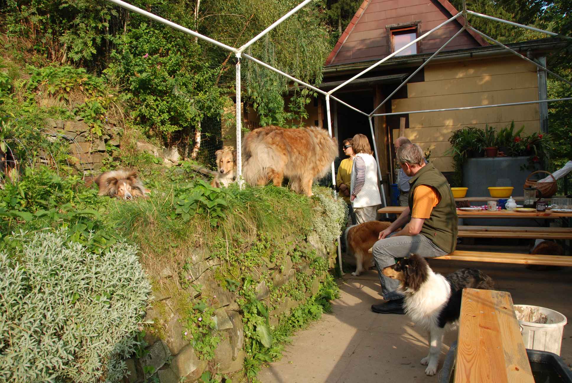 2009-08-14_ntb_4223