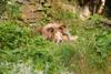 2009-08-14_ntb_4224