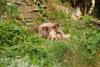 2009-08-14_ntb_4225