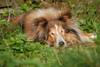 2009-08-14_ntb_4226