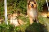 2009-08-14_ntb_4227