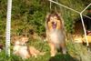 2009-08-14_ntb_4228
