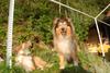 2009-08-14_ntb_4229