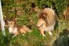 2009-08-14_ntb_4230