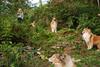 2009-08-14_ntb_4233