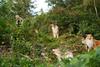 2009-08-14_ntb_4234