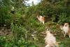 2009-08-14_ntb_4235