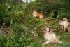 2009-08-14_ntb_4236