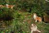 2009-08-14_ntb_4238
