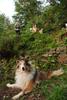 2009-08-14_ntb_4239