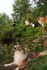 2009-08-14_ntb_4241