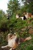 2009-08-14_ntb_4242