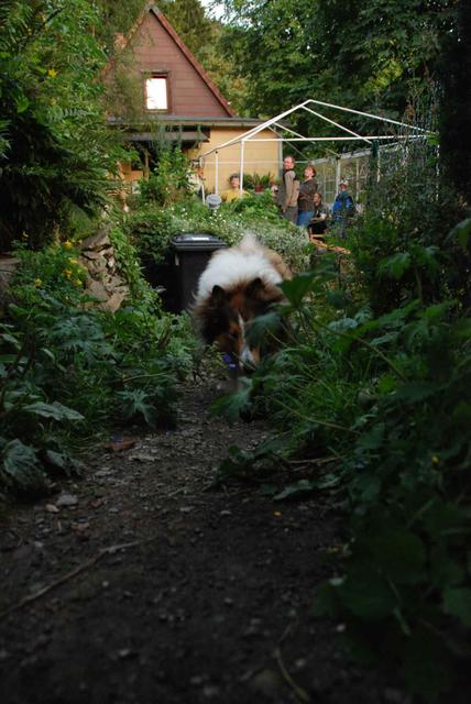 2009-08-14_ntb_4249