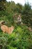 2009-08-14_ntb_4258