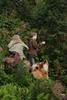2009-08-14_ntb_4260