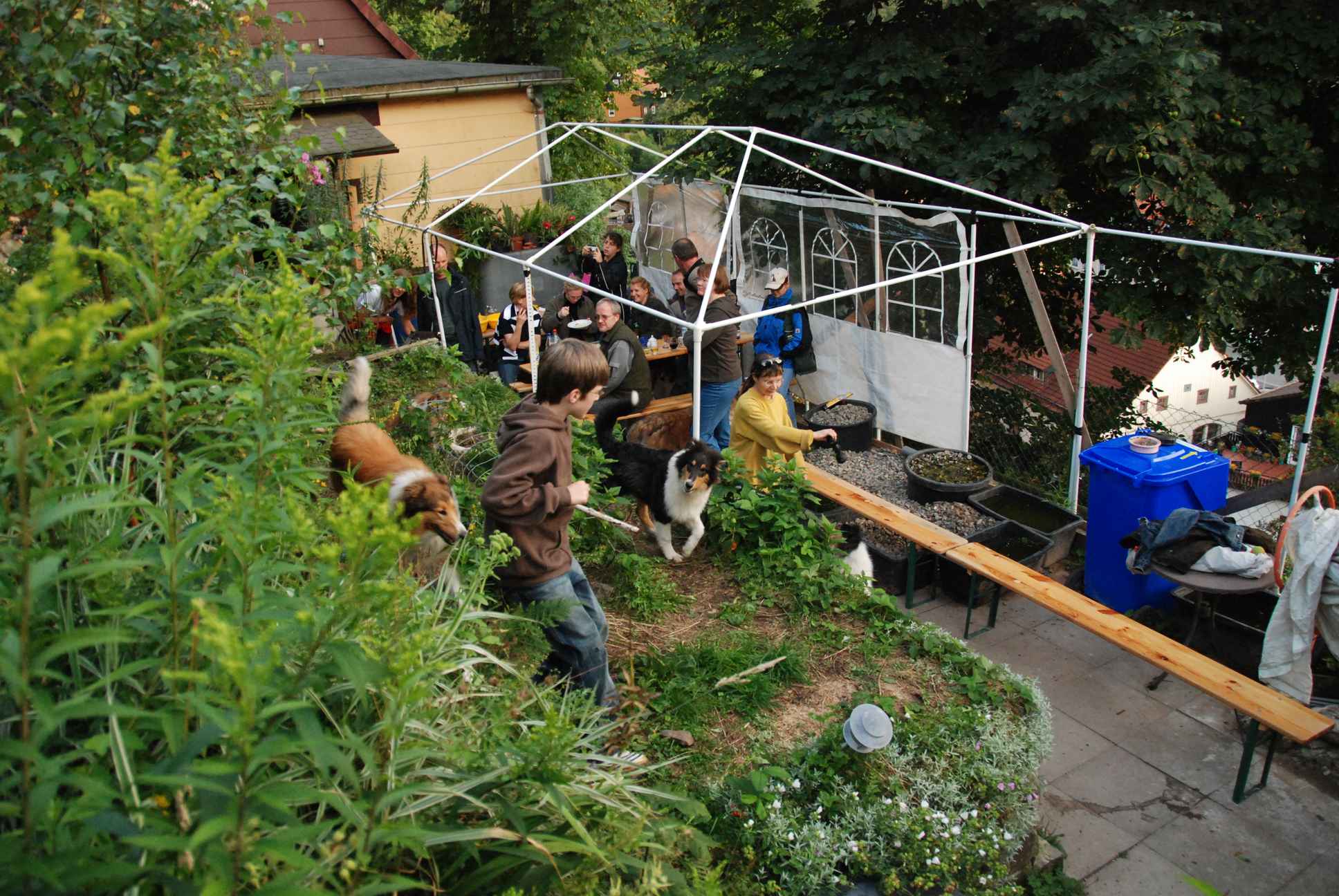2009-08-14_ntb_4268