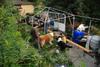 2009-08-14_ntb_4274