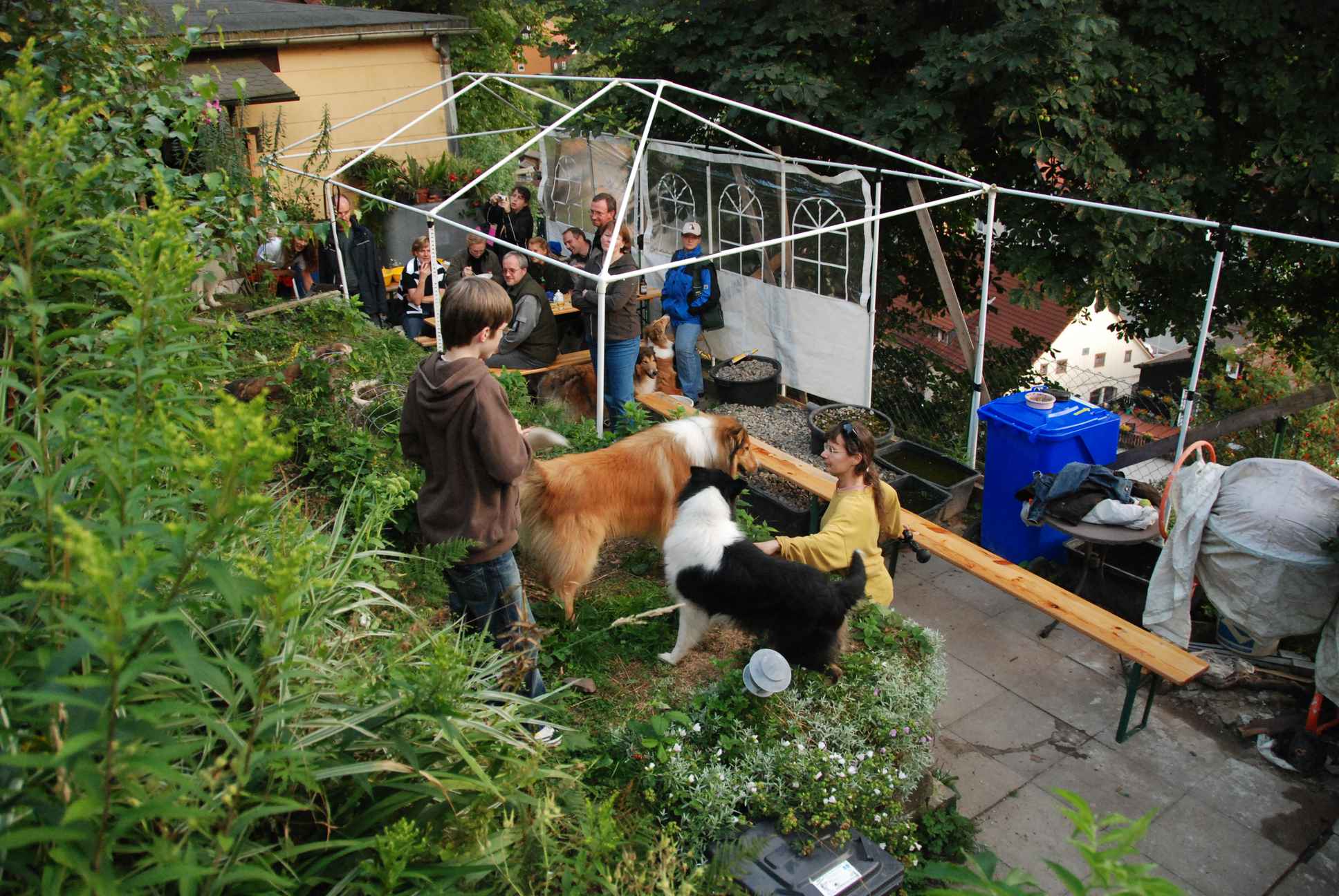 2009-08-14_ntb_4275
