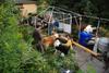 2009-08-14_ntb_4275