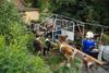2009-08-14_ntb_4278