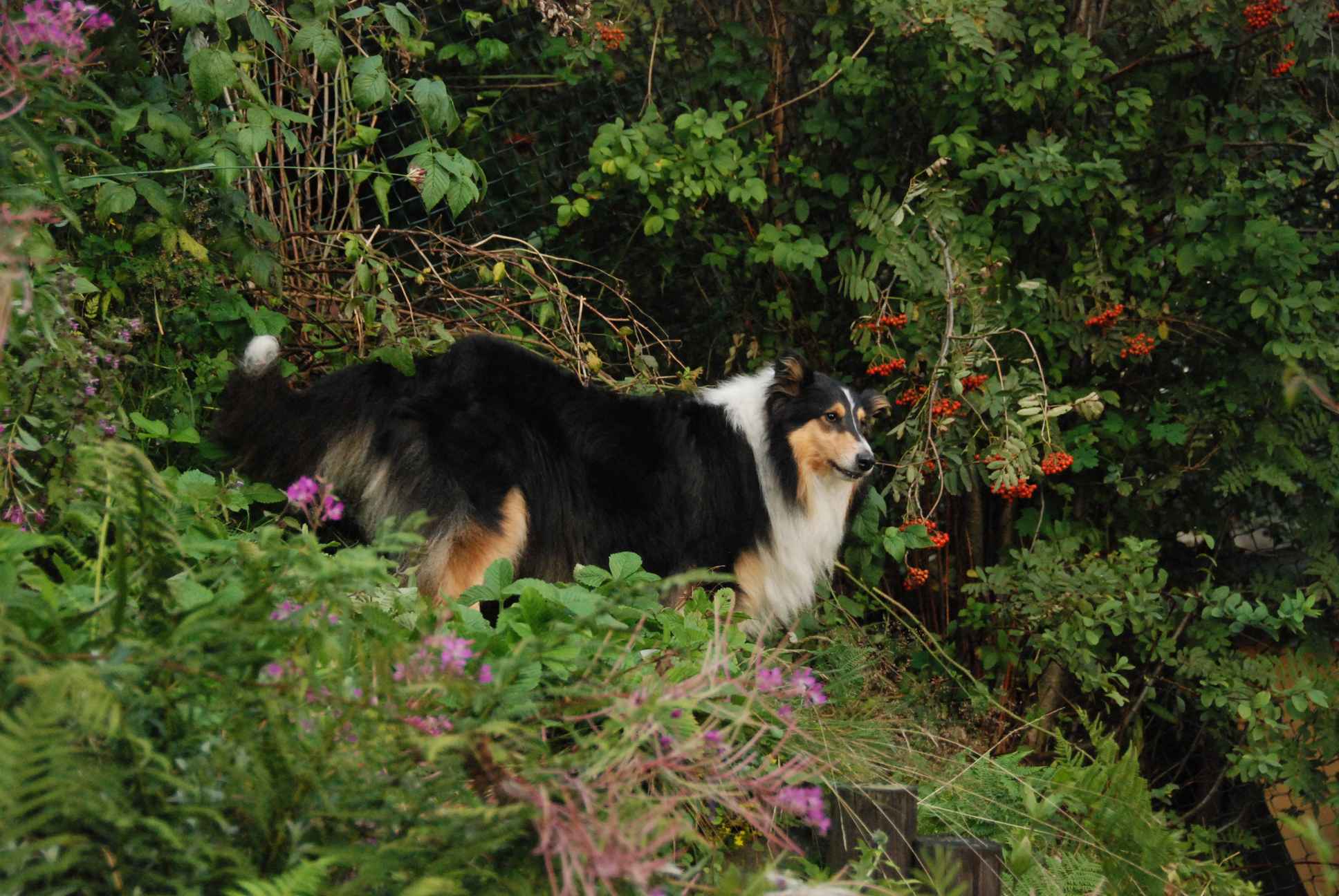 2009-08-14_ntb_4279