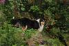 2009-08-14_ntb_4279