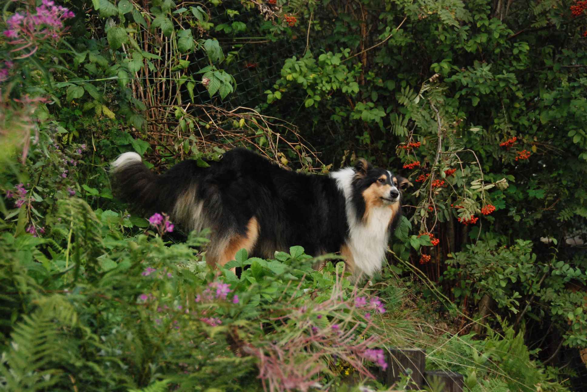 2009-08-14_ntb_4280