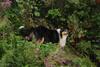 2009-08-14_ntb_4280