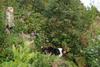 2009-08-14_ntb_4281