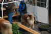 2009-08-14_ntb_4282