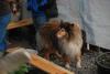 2009-08-14_ntb_4283