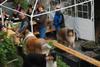 2009-08-14_ntb_4285
