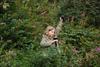 2009-08-14_ntb_4289