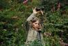 2009-08-14_ntb_4290