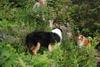 2009-08-14_ntb_4291