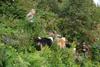 2009-08-14_ntb_4292