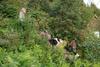 2009-08-14_ntb_4293