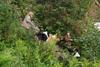 2009-08-14_ntb_4296