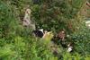 2009-08-14_ntb_4297