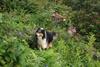 2009-08-14_ntb_4298