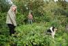 2009-08-14_ntb_4303